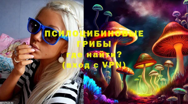 первитин Гусь-Хрустальный