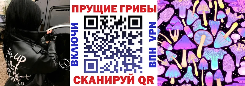 Галлюциногенные грибы Psilocybine cubensis ОМГ ОМГ вход Пустошка
